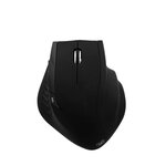 T'nB Souris Ergo Line sans fil noire