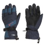 WANABEE Gants de ski ALPINA 200 GT - Homme - Bleu Marine