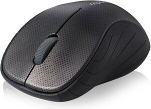 Souris sans fil Rapoo 3000P (Noir)