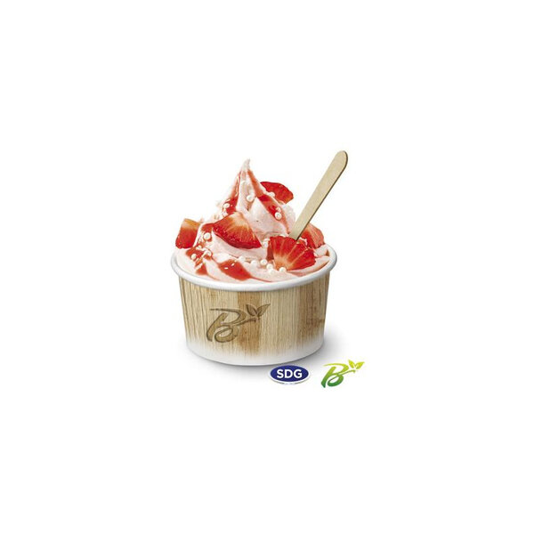 Pot de Glace en Carton Recyclable Nature 520 ml - SDG - Lot de 1140