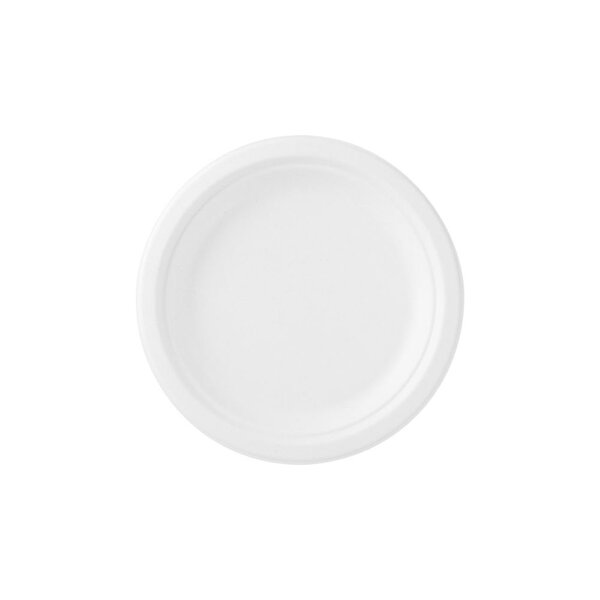 Ecoecho dîner assiette recyclable blanc 50 (paquet 50 unités)