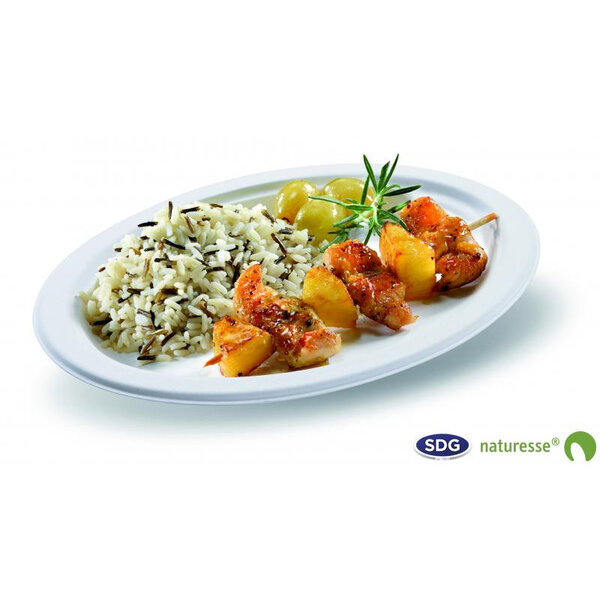 Assiette Jetable Biodégradable Pulpe de Cellulose 26x19 cm - SDG - Lot de 500 - Pulpe de cellulose