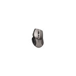 Souris sans fil Trust MaxTrack (gris)