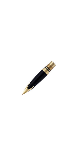 WATERMAN - Carene - Bloc Plume Complet - Attributs Dorés - Plume Oblique Fine 18K