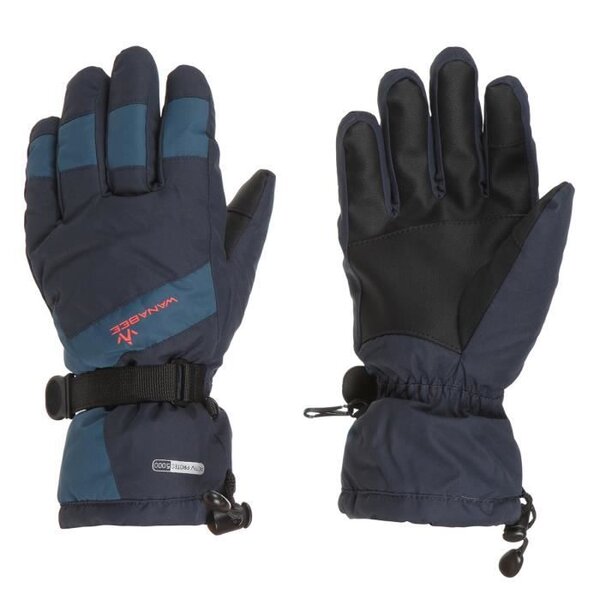 WANABEE Gants de ski ALPINA 200 GT - Homme - Bleu Marine