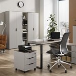 Germania Armoire sur roulettes GW-Ancona 51x41x55cm Cachemire et noyer