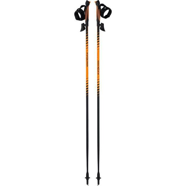 WANABEE Bâtons de randonnée Nordic 90 x2