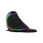 DELUX Souris Verticale Ergo Noire - Sans fil - RGB