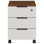 Germania Armoire sur roulettes GW-Ancona 51x41x55cm Cachemire et noyer