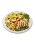 Assiette en carton moulé diamètre 22cm (colis 500 assiette)