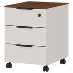Germania Armoire sur roulettes GW-Ancona 51x41x55cm Cachemire et noyer