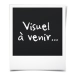 NORTHVALLEY Doudoune fine Homme Mylan Gris Chiné