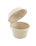 Boîte snacking en pulpe de canne à sucre 75cl (1 colis 300 boites)