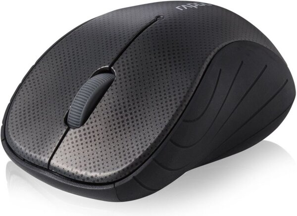 Souris sans fil Rapoo 3000P (Noir)