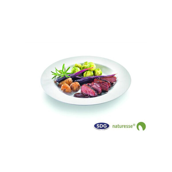 Plat Rond Pulpe de Cellulose Biodégradable Elégance 27 cm - SDG - Lot de 500 - Pulpe de cellulose